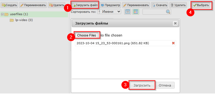 Если нужно загрузить совсем новую картинку, то нажмите "Загрузить файл", выберите файл и нажмите "Загрузить", после загрузки нажмите "Выбрать" 
