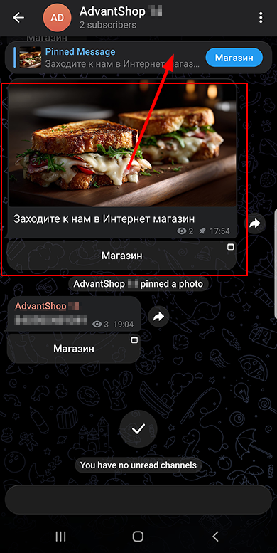 Телеграм и МАКС-магазин и Мой склад - 2129
